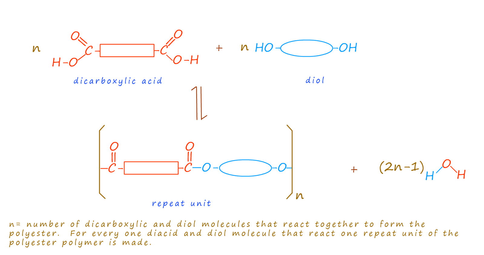 polyester repeat unit formed using a diol and a diacid.